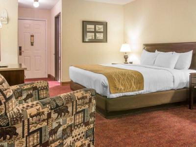 Hotel Comfort Inn Lakeside - Bild 4