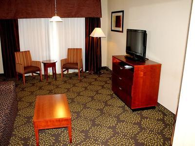 Hotel Holiday Inn Express & Suites Starkville - Bild 5