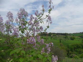 Hotel Fullino Nero - Bild 5