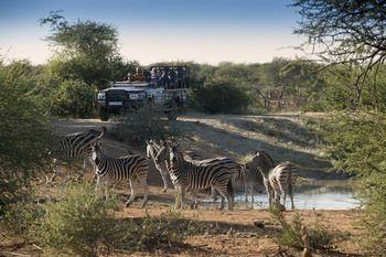 Hotel Madikwe Safari Lodge - Bild 4