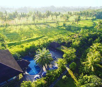 Hotel Bhuwana Ubud - Bild 5