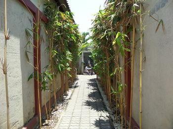 Hotel Tanjung Lima Villas - Bild 3