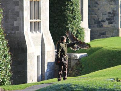 Ashford Castle Hotel & Country Estate - Bild 2