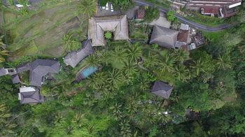 Hotel The Kampung Resort Ubud - Bild 3