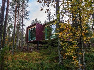 Arctic TreeHouse Hotel - Bild 3