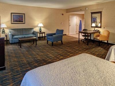 Hotel Hampton Inn Roanoke Rapids - Bild 4