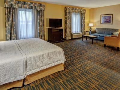 Hotel Hampton Inn Roanoke Rapids - Bild 2