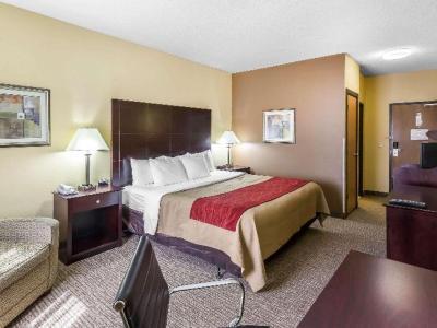 Hotel Comfort Inn & Suites - Bild 5