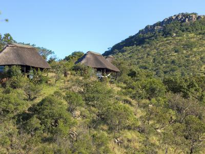 Hotel Leopard Mountain Safari Lodge - Bild 4