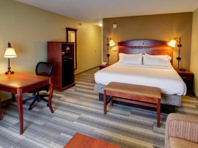 Hotel Holiday Inn Express & Suites Sioux City - Southern Hills - Bild 4