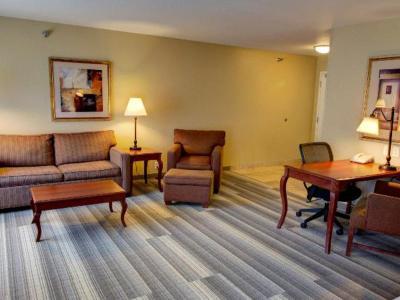 Hotel Holiday Inn Express & Suites Sioux City - Southern Hills - Bild 3