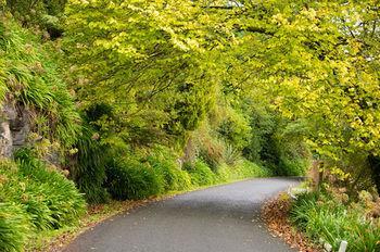 Waitomo Caves Guest Lodge - Bild 1