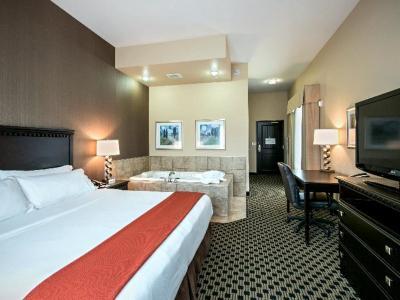 Holiday Inn Express Hotel & Suites Green Bay East - Bild 5