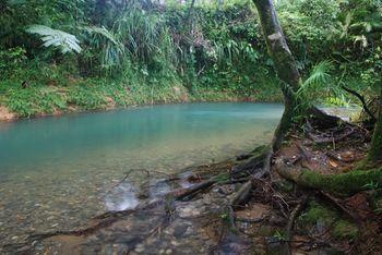 Hotel Heritage Lodge in the Daintree - Bild 5