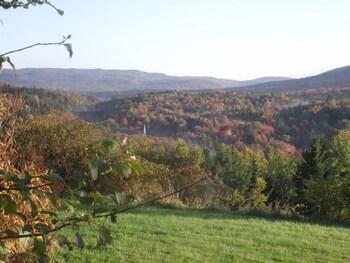 Hotel The Chanterelle Country Inn And Cottages - Bild 5