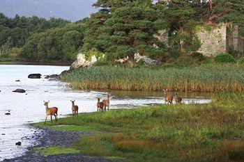 The Lake Hotel Killarney - Bild 3