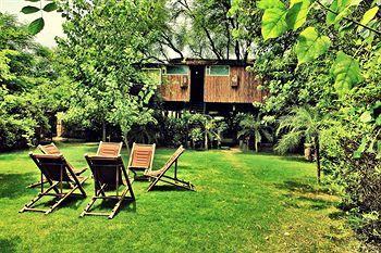 Hotel The Tree House Resort - Bild 3