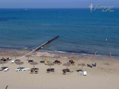 Flamingo Beach Hotel - Bild 3