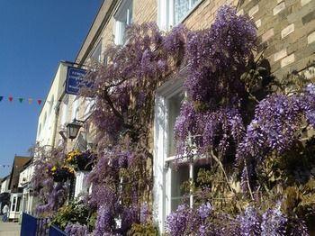 Wisteria House - Bild 1