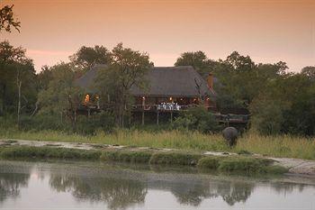 Hotel Thornybush Simbambilli Game Lodge - Bild 4