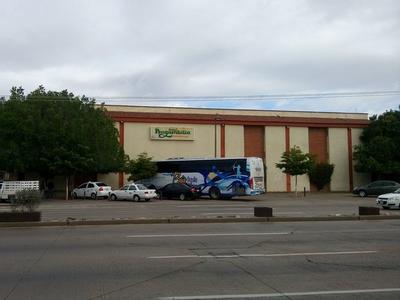 Hotel Bugambilia Hermosillo - Bild 2