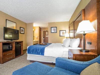 Hotel Comfort Inn Grand Junction I-70 - Bild 3