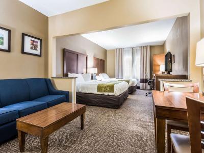 Hotel Comfort Suites Sioux Falls - Bild 5