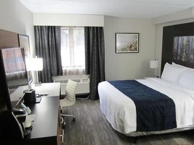 Best Western Atlanta-Marietta Ballpark Hotel - Bild 5