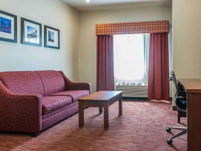 Hotel Comfort Suites Columbus - Bild 5