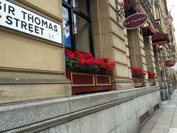 Hotel Sir Thomas - Bild 2