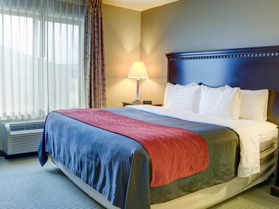 Hotel Comfort Inn & Suites Russellville I-40 - Bild 3