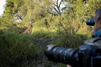 Hotel Lion Sands Narina Lodge - Bild 2