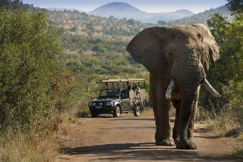 Hotel Bakubung Bush Lodge - Bild 4