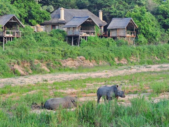 Hotel Jock Safari Lodge - Bild 1