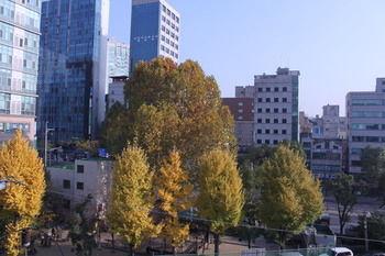 Hotel K-guesthouse Sinchon 2 - Bild 5