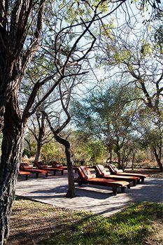 Hotel Thornybush Chapungu Luxury Tented Camp - Bild 1