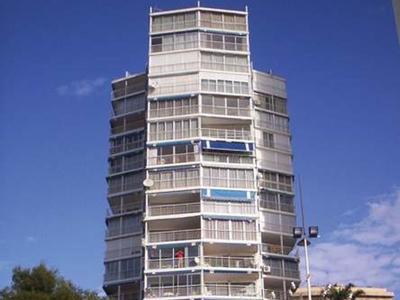 Hotel Torre Yago Apartments - Bild 4