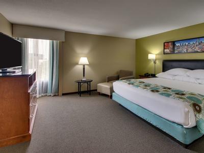 Hotel Drury Inn & Suites Near The Galleria Houston - Bild 5