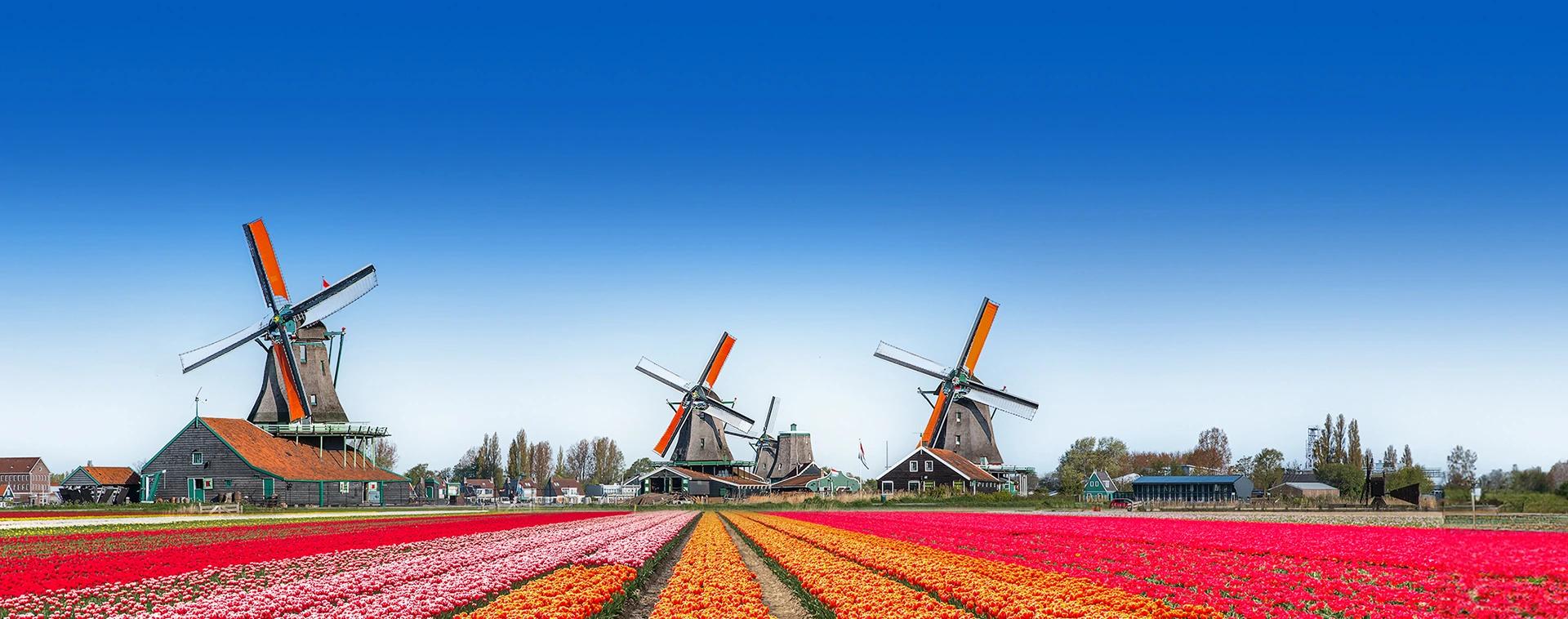 Last Minute Niederlande